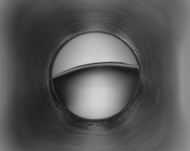 X0000088630434200705250901