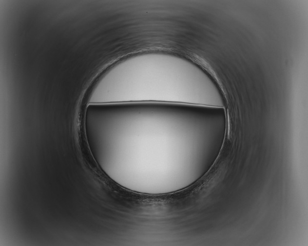 X0000088630435200705250901