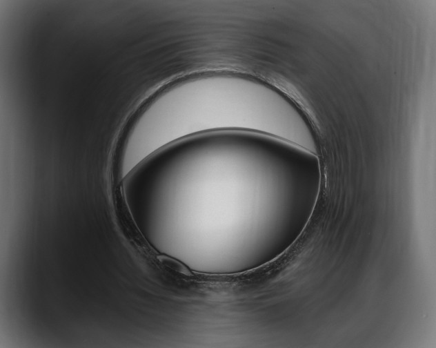 X0000088630436200705250901