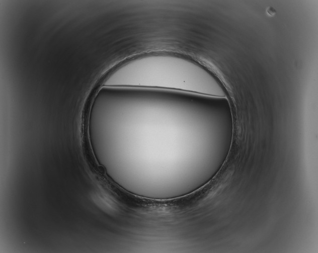 X0000088630439200705250901