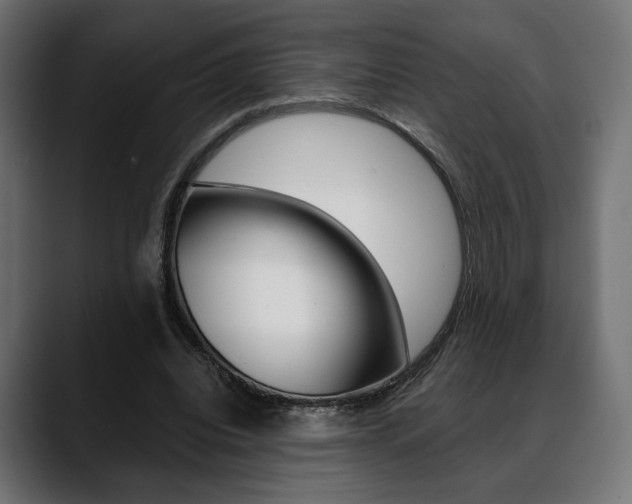 X0000088630440200705250901