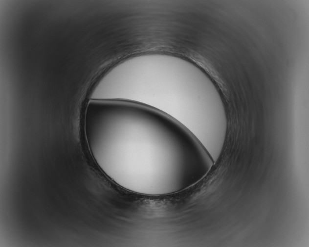 X0000088630442200705250901