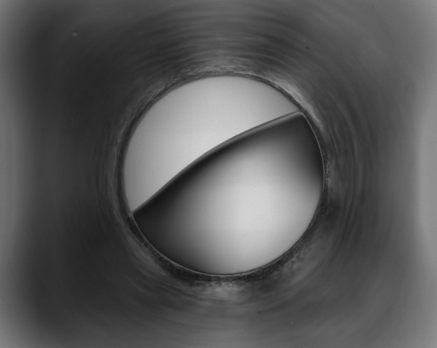 X0000088630445200705250901