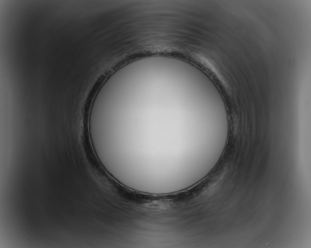 X0000088630447200705250901