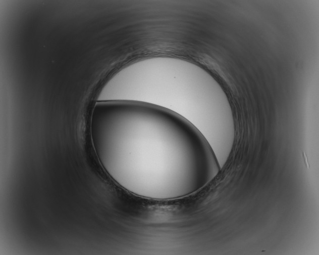 X0000088630448200705250901
