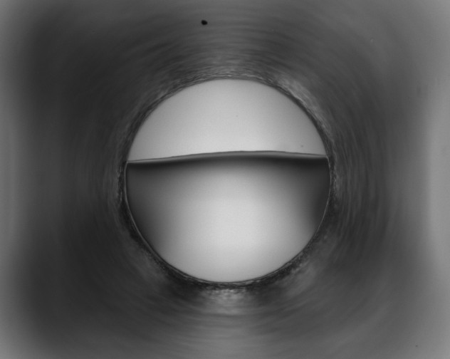 X0000088630449200705250901