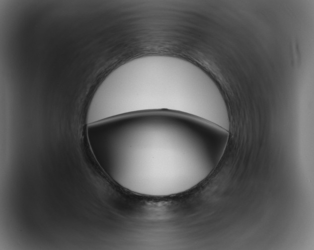 X0000088630450200705250901