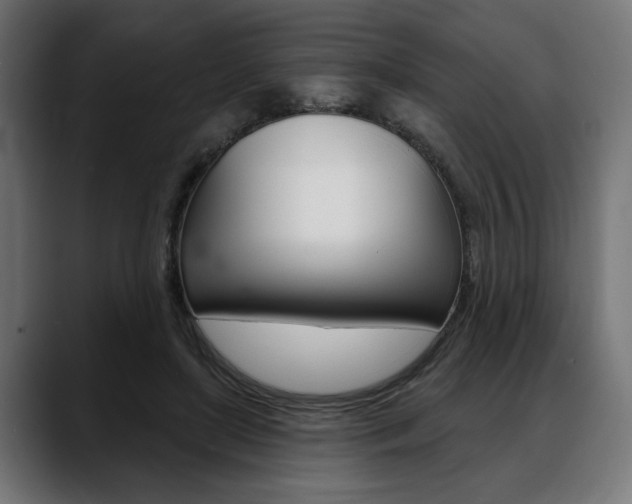 X0000088630451200705250902