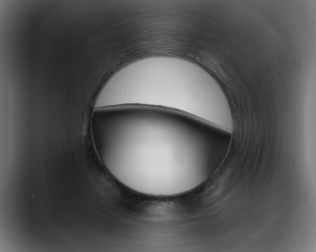 X0000088630458200705250902