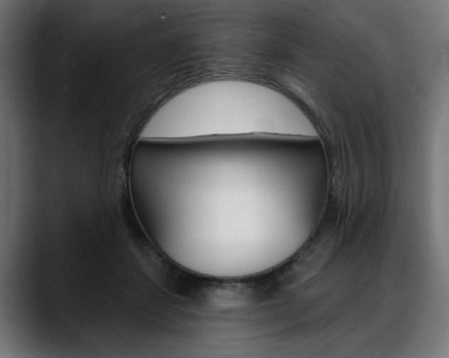 X0000088630459200705250902