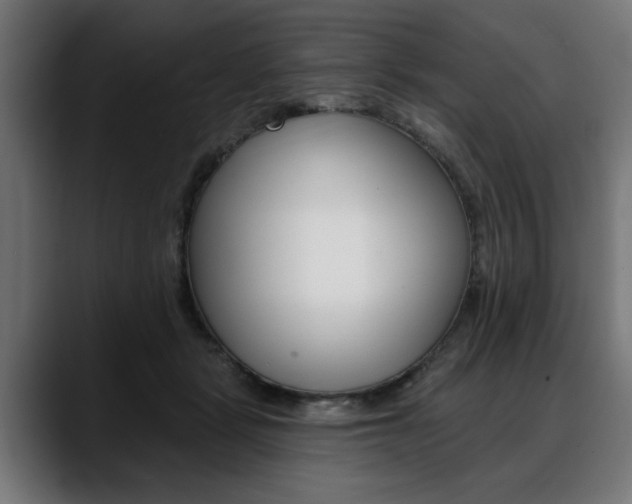 X0000088630461200705250902