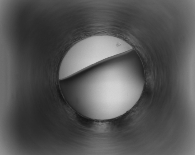 X0000088630469200705250902