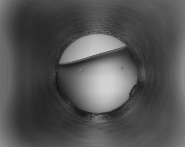 X0000088630472200705250902