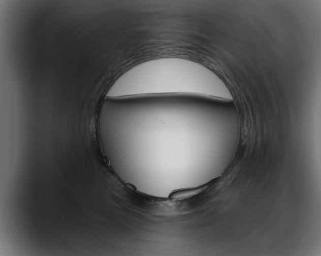 X0000088630473200705250902