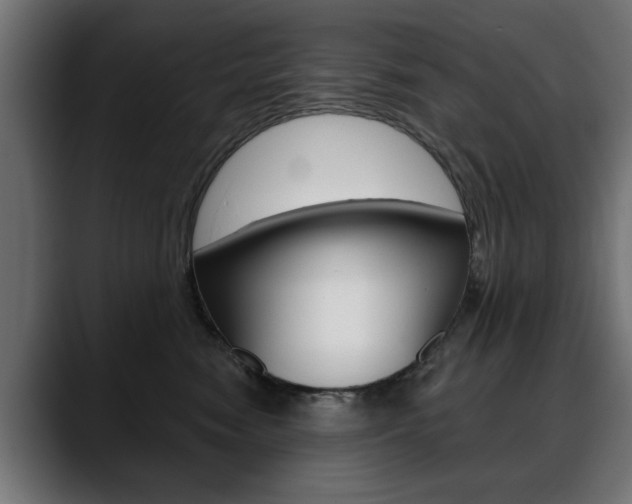 X0000088630474200705250902