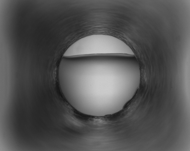 X0000088630475200705250902