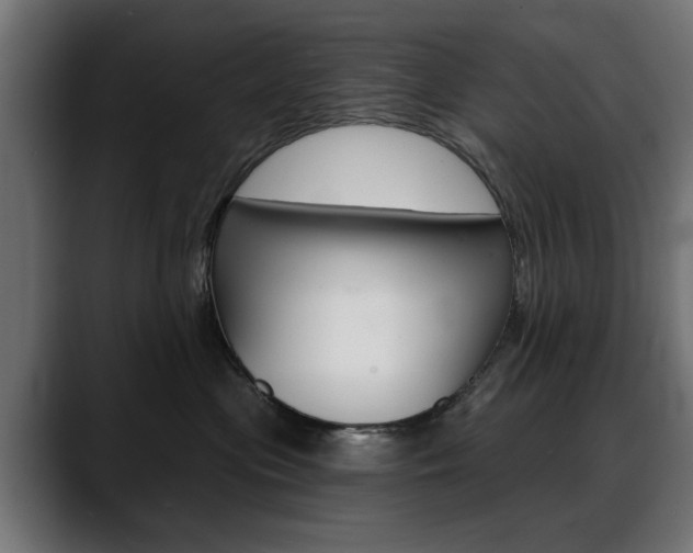 X0000088630477200705250902