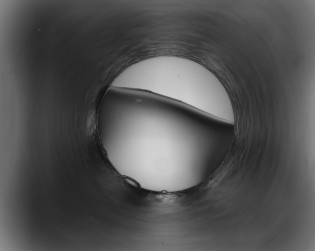X0000088630478200705250902