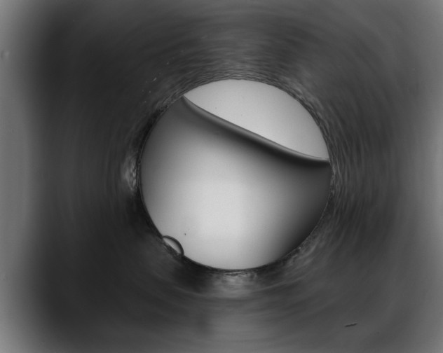 X0000088630479200705250902
