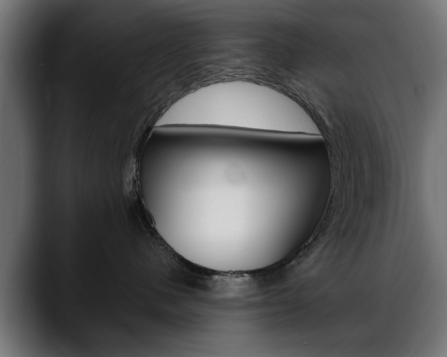 X0000088630480200705250902