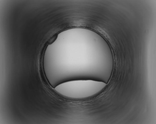 X0000088630482200705250901