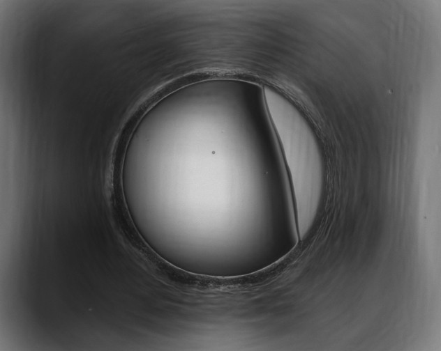 X0000088630484200705250901