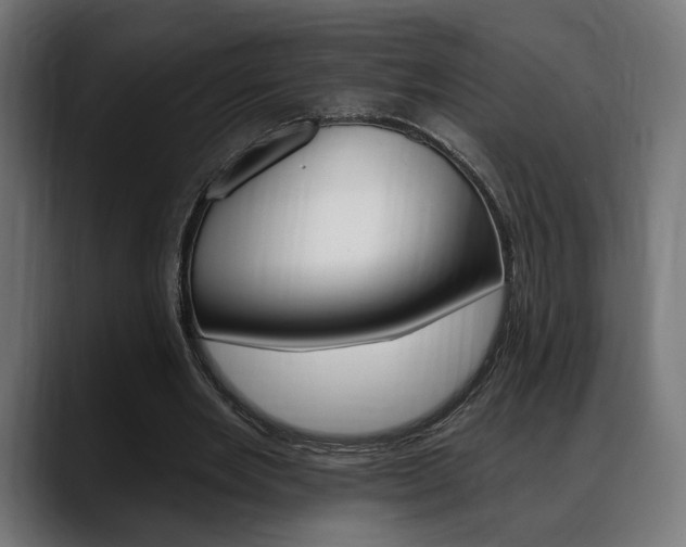 X0000088630485200705250901