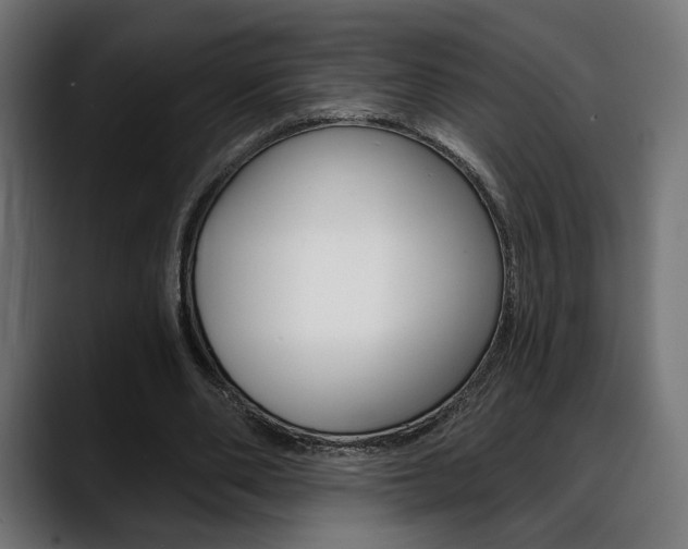 X0000088630486200705250901