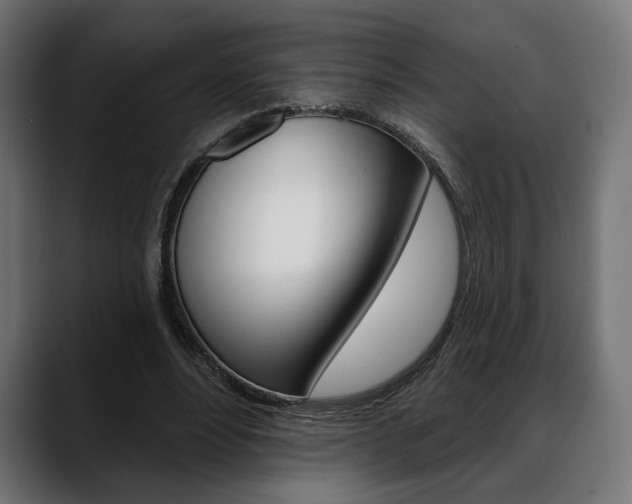 X0000088630488200705250901