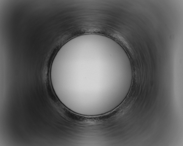 X0000088630490200705250901