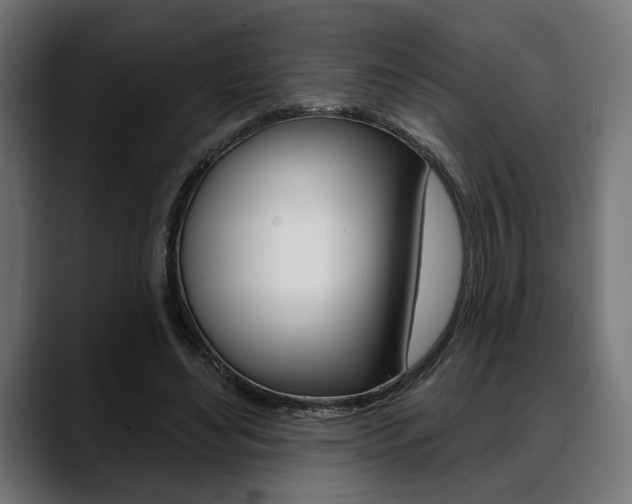 X0000088630492200705250901