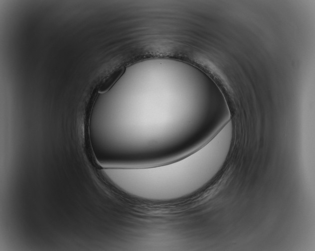 X0000088630493200705250901