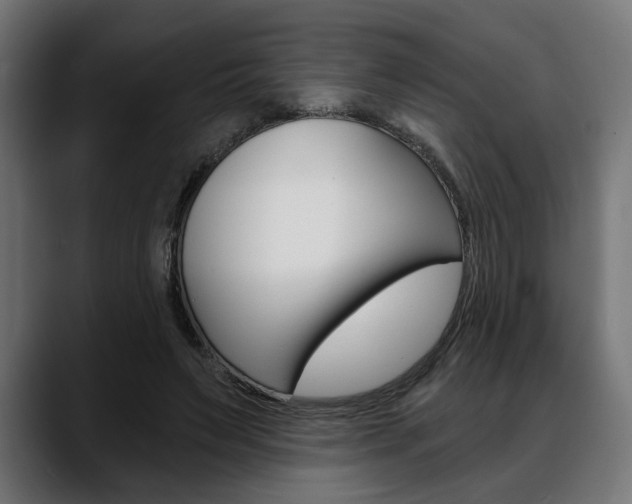 X0000088630495200705250901