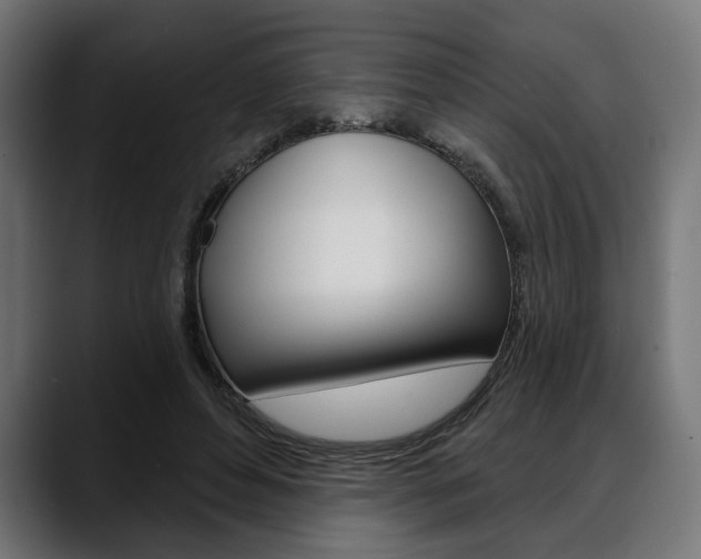 X0000088630496200705250901