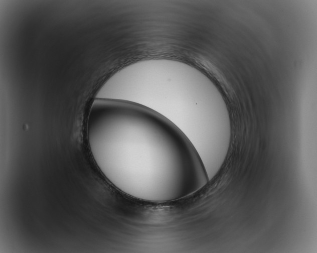 X0000088630497200705250901