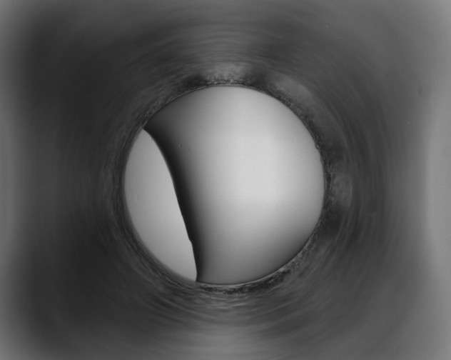 X0000088630498200705250901