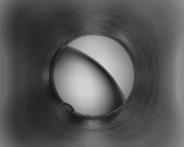 X0000088630500200705250901
