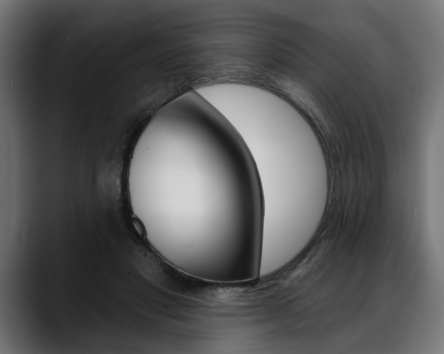 X0000088630501200705250901