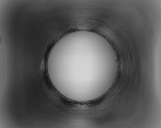 X0000088630502200705250901