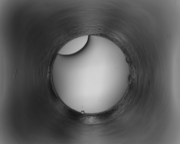 X0000088630507200705250901