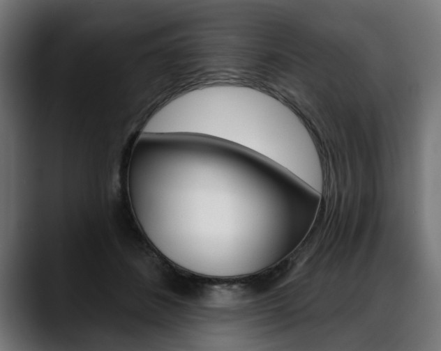 X0000088630508200705250901