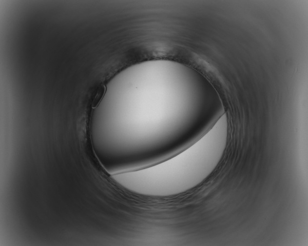 X0000088630509200705250901