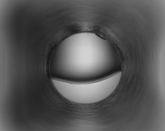 X0000088630512200705250901