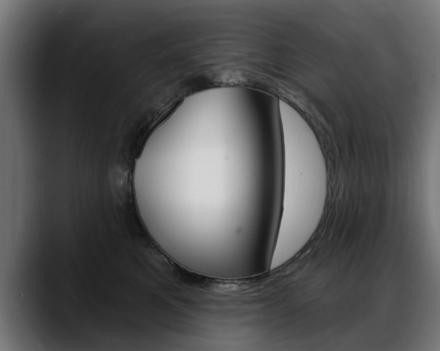 X0000088630521200705250901