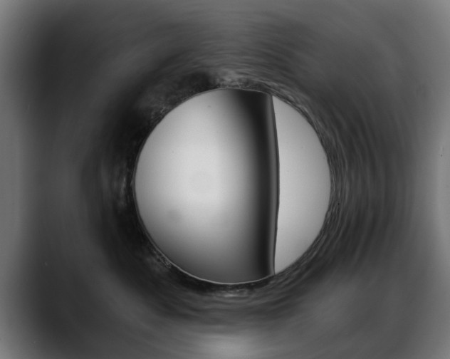 X0000088630525200705250901