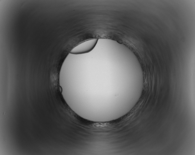 X0000088630526200705250901