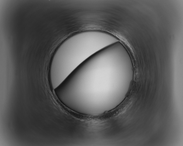 X0000088630529200705250900