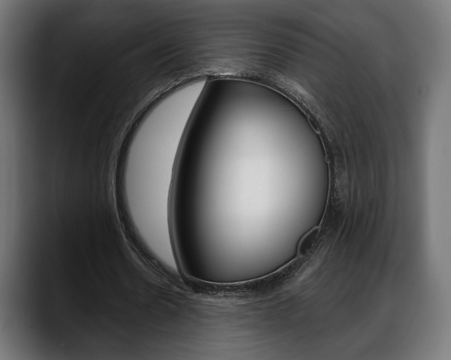 X0000088630530200705250900