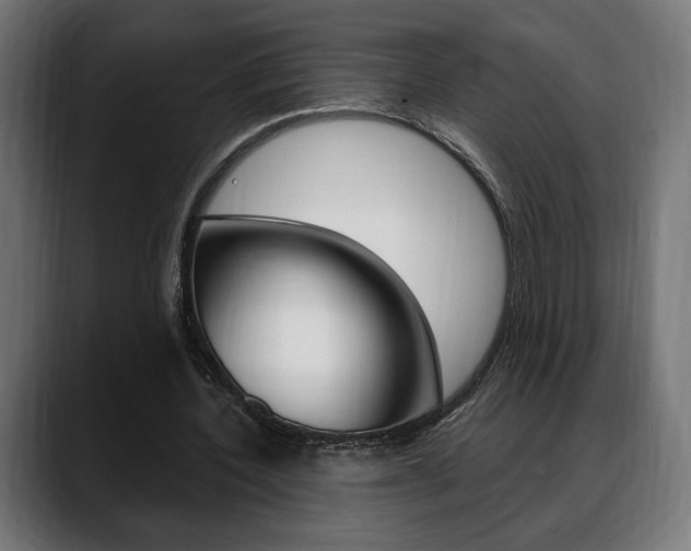 X0000088630532200705250900