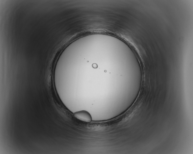 X0000088630533200705250900